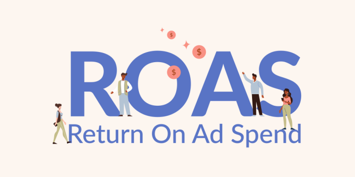 roas ecommerce